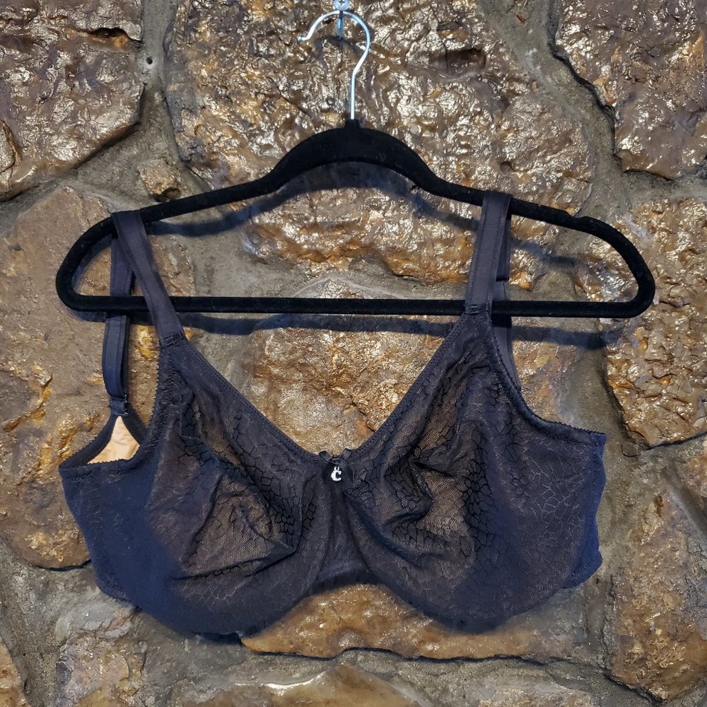 Chantelle Sheer Black w/ Tan Underwire 32 H Bra